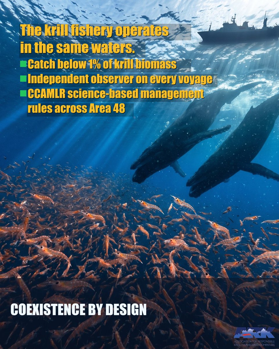 ARK_KRILL's tweet photo. These aggregations are happening in Area 48 — where ARK members also fish. Catch stays below 1% of krill biomass. Independent observers on every voyage. This is what science-based fisheries management looks like. #CCAMLR #SustainableFishing #ARK https://t.co/mYjLNA6W4X