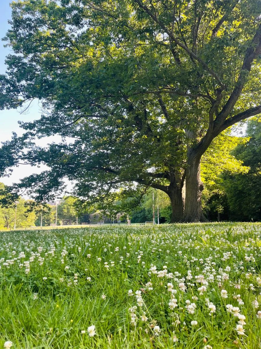 judith_0225's tweet photo. Starting the day with a morning run, surrounded by lush greenery, is truly delightful.😍 https://t.co/kTblThvu5L