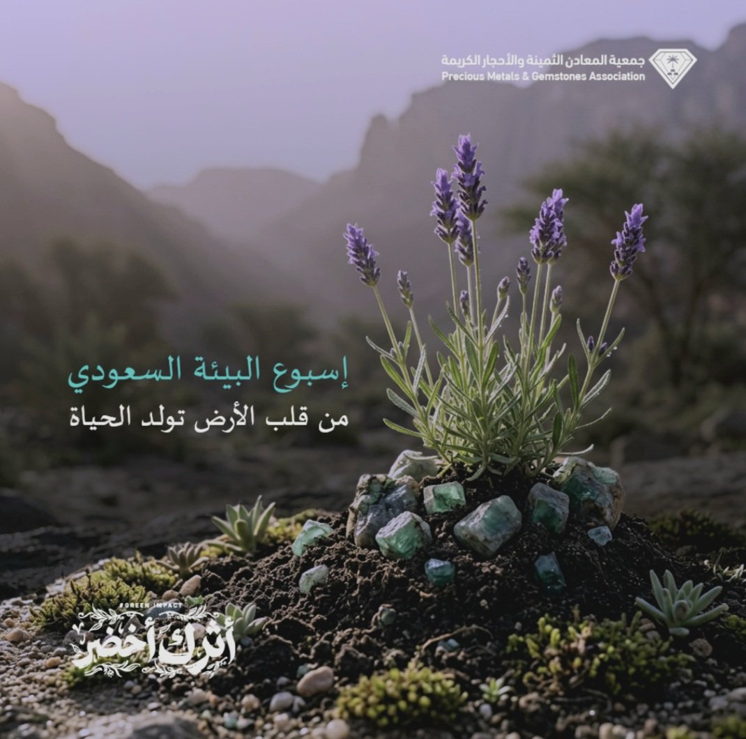 pmgsaksa's tweet photo. #اسبوع_البيئة_السعودي 
#أثرك_أخضر 
🇸🇦💚 https://t.co/maz7CQhpvA