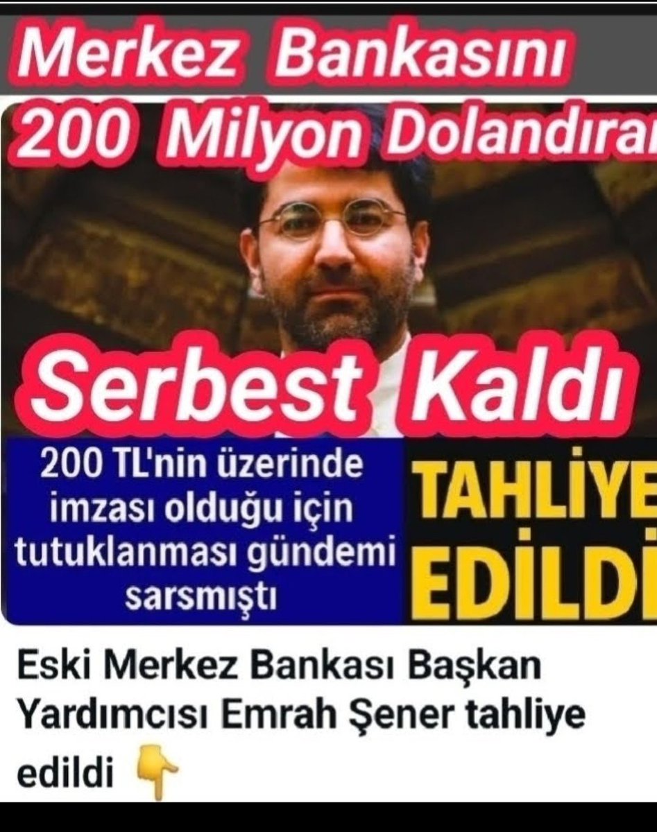 Zeynep Özkara tweet media
