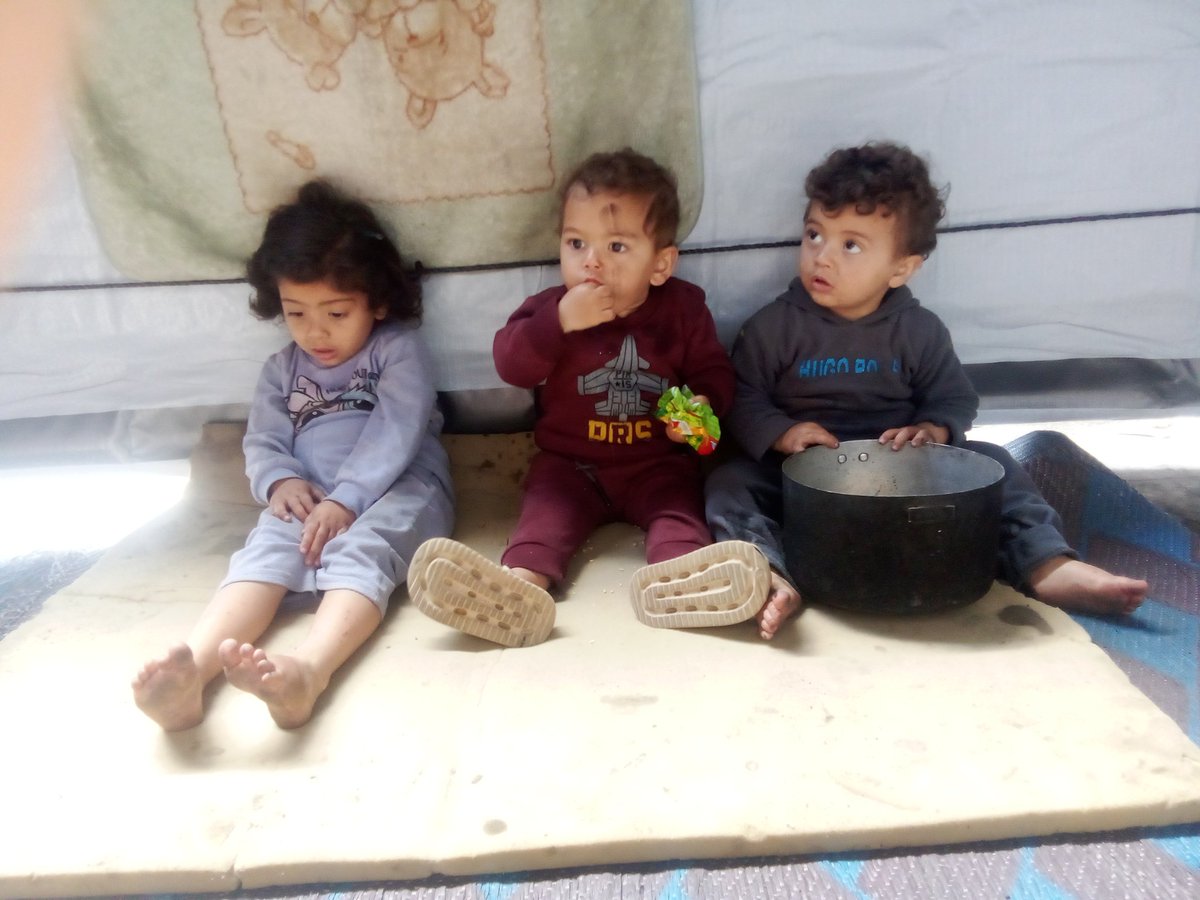 gaza167208's tweet photo. We are being forced out again with no shelter left. My children are trembling with fear, and we have nowhere to go. 💔
Your donation — even just a cent — could give us safety. And if you can’t donate, please share this post… you may save a life. 🙏
https://t.co/GZPYNogn1R https://t.co/g3RhfCMx2J