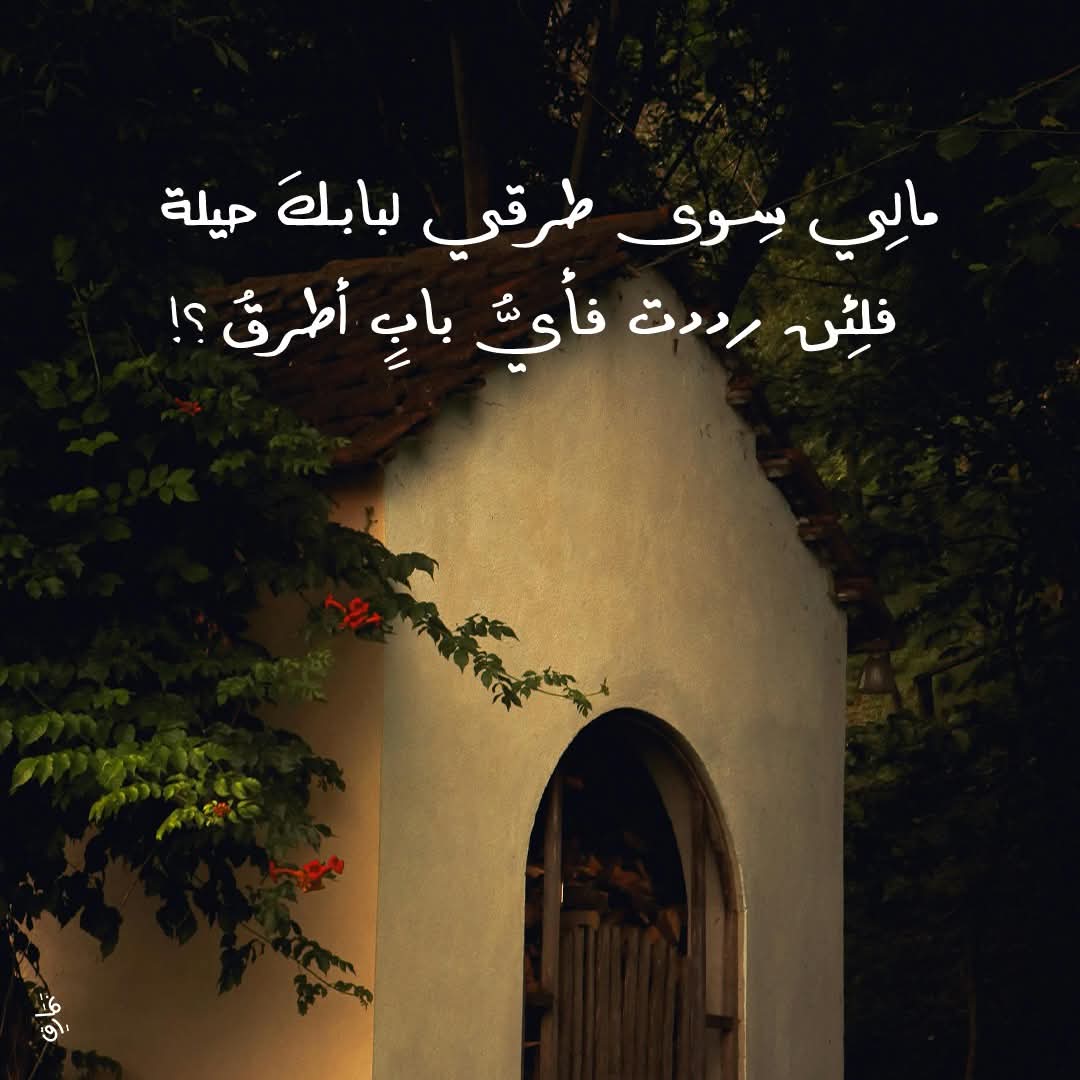نُسَيبة (@nosaibayoussef) on Twitter photo 
