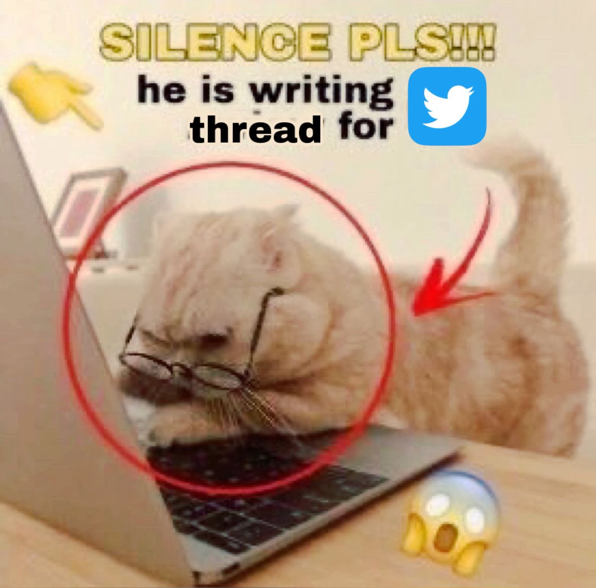 iris tweet media