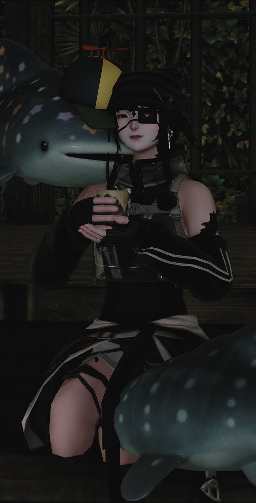 more shork
