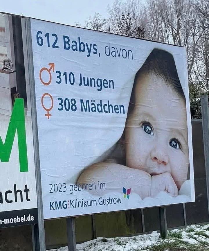 Littlewisehen tweet media