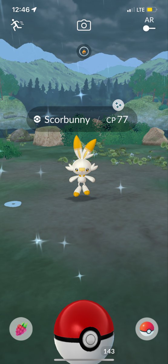 FluffyBlueWolf's tweet photo. Bun! https://t.co/ehxvmiRUVs