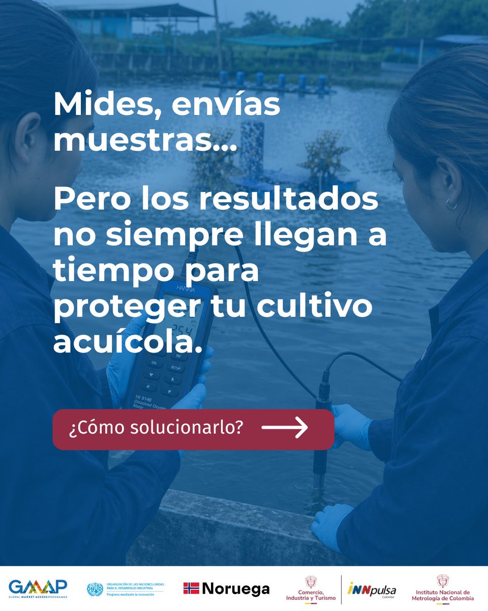 INMdeColombia's tweet photo. En la producción de tilapia, la #Bioseguridad no solo depende de buenas prácticas en el cultivo, sino también de contar con información técnica confiable que permita actuar de manera oportuna.
Inscríbete aquí en el webinar: https://t.co/hEACbIYTsL https://t.co/g0Xf3uNVGR