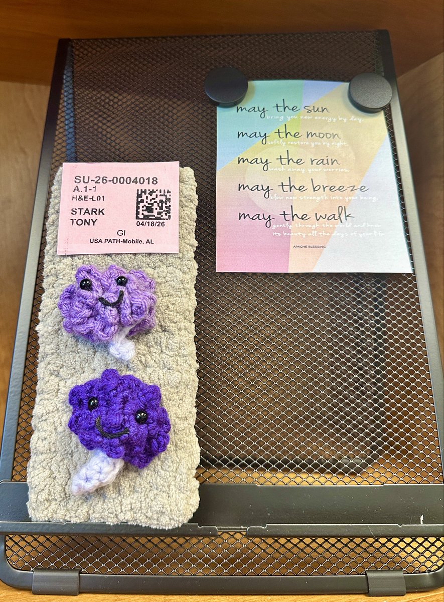UllahAteeqa's tweet photo. May inspiration ✨

Featuring Tiny TA’s courtesy @katreetree_ 🎨

#PathX #GIPath #MayMotivation https://t.co/r8zsXb9rEo