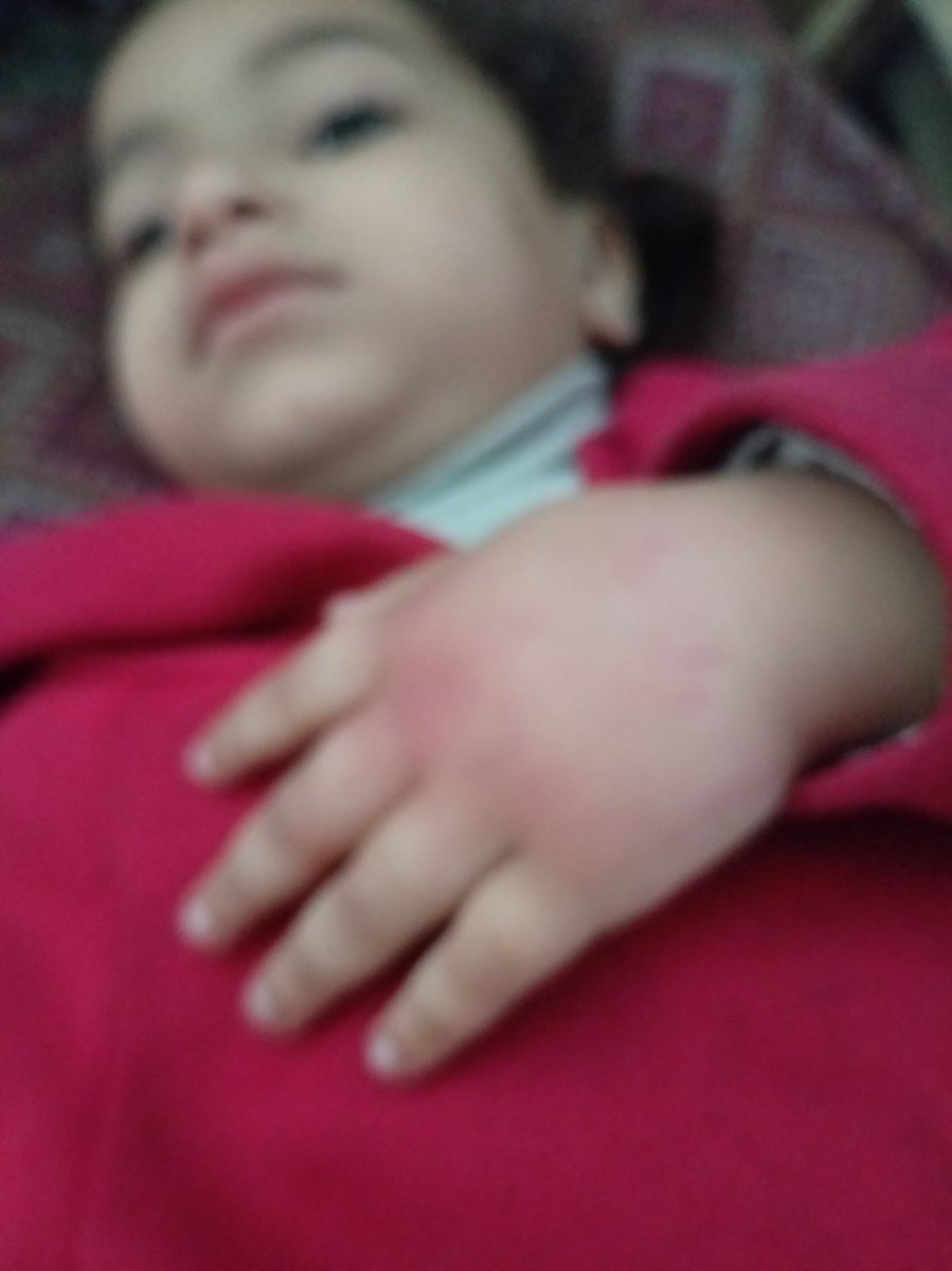 Dalula in Gaza tweet media