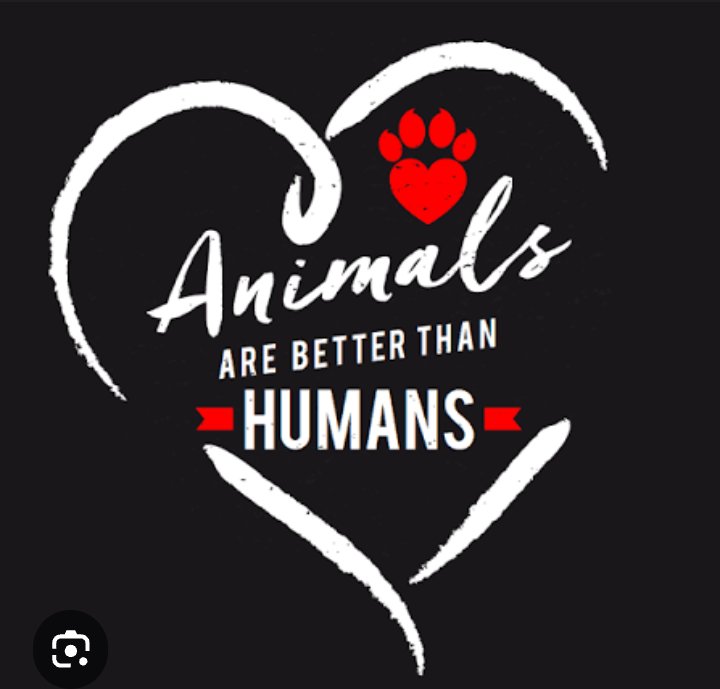 CookieKL's tweet image. You better believe it.. 
#Animals are better than #people 💯💯🤘😊🥰🩷