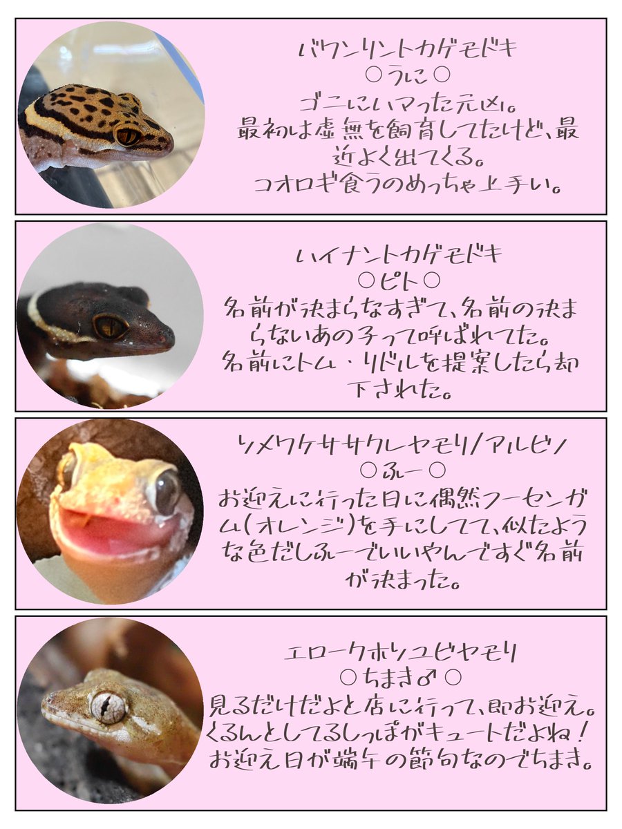 ちき🤪 tweet media