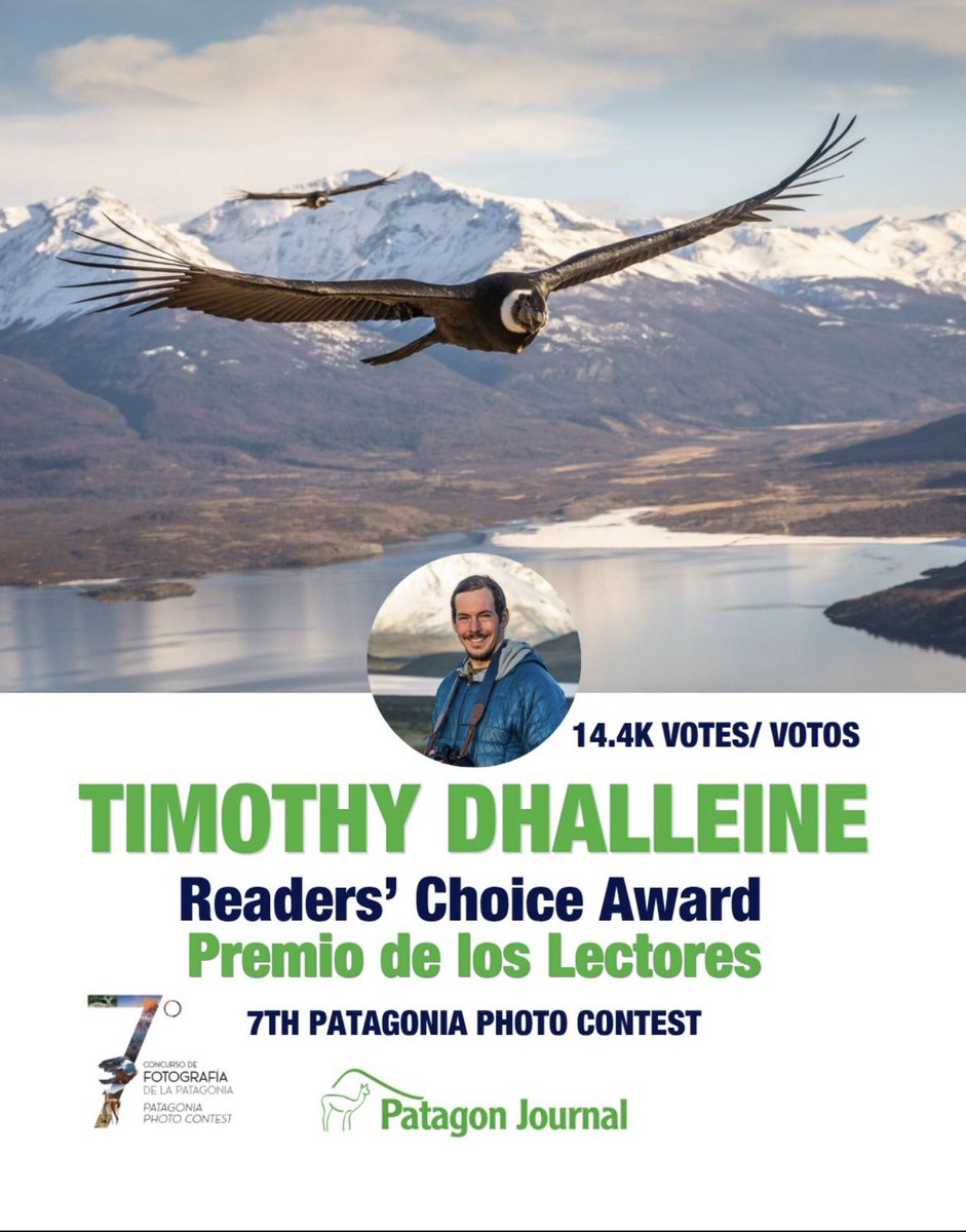 Timothy Dhalleine tweet media