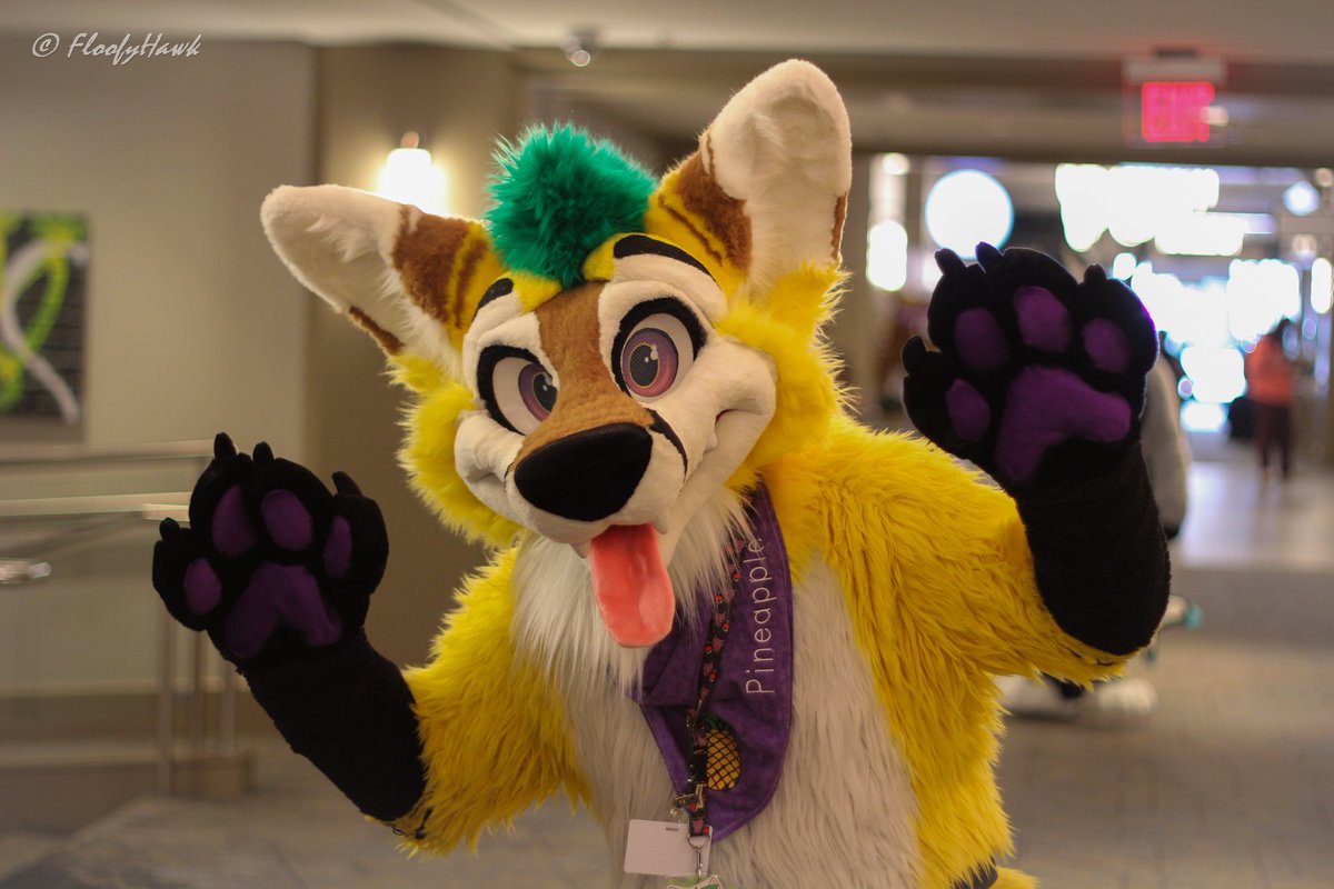 RockySheperd🔜FurryDelphia2026 tweet media