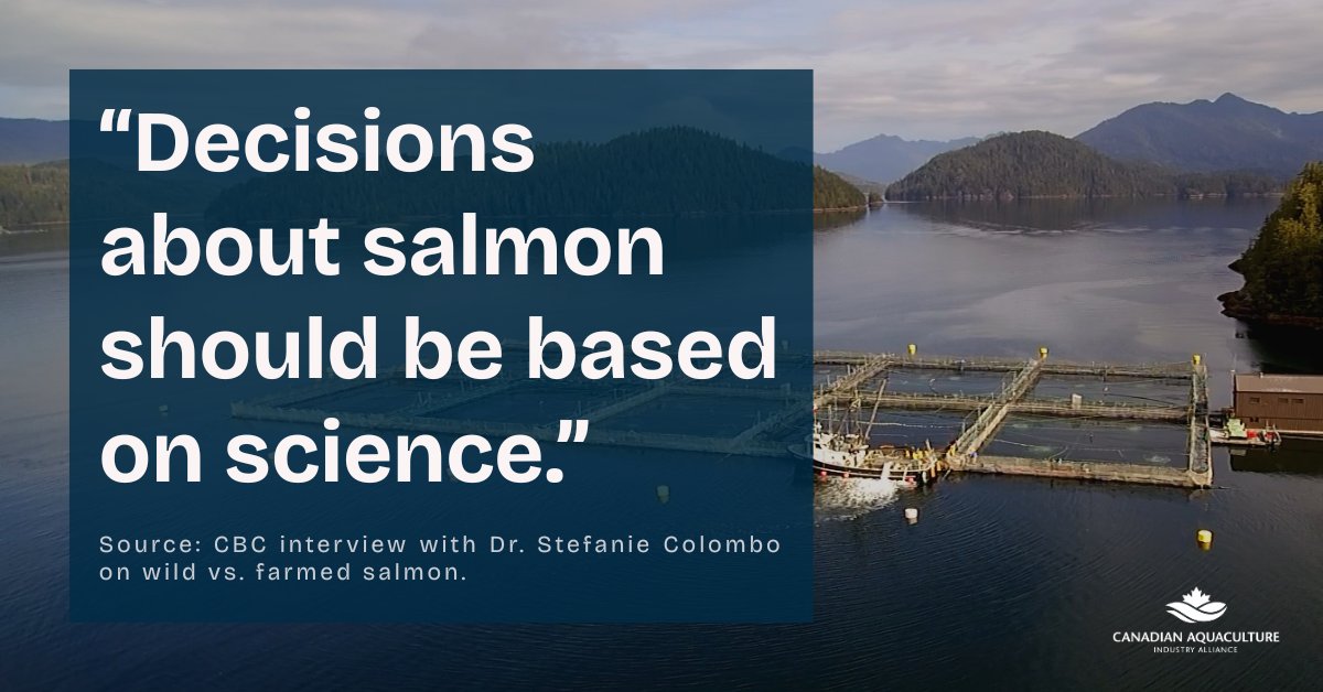 loveCDNsalmon tweet media