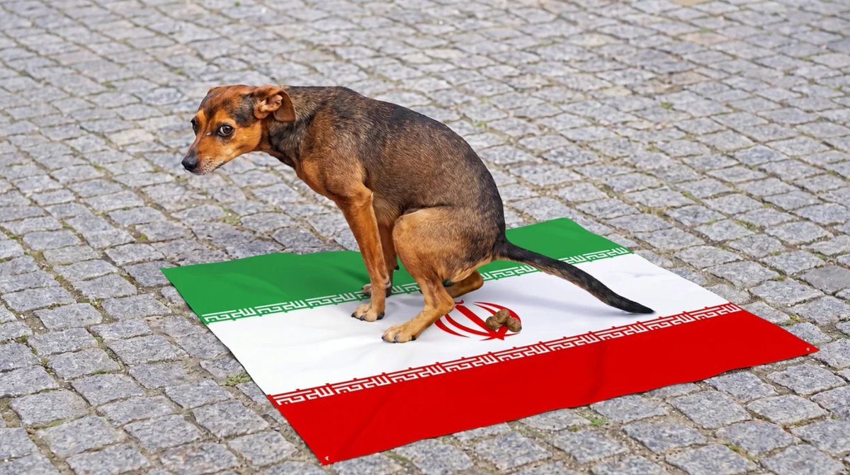 project_v3668's tweet photo. @IRIMFA_SPOX cry more about it fuckwit lol
im more concerned about the iranians who can't get online and the iranians being executed.
put the fucking internet on you piece of shit!

fuck your islam. go eat a bag of dicks! https://t.co/5glhXfeydI