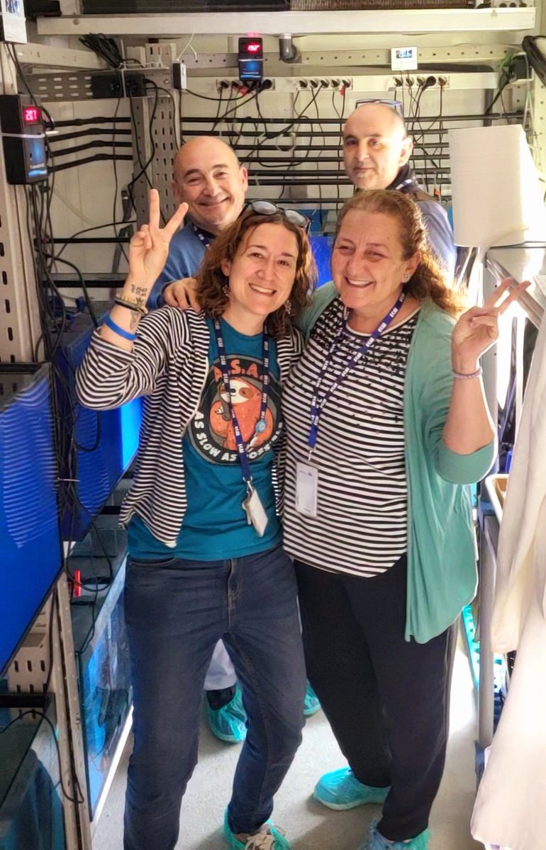 marcalcifiers's tweet image. We were so happy to welcome sponge taxonomists Javier Cristobo and Pilar Ríos from @IEO_GIJON to @ICMCSIC! We had the chance to show them our experiment and share our work. We also met their colleague, Florencio González. Such a great visit! #biodiversity #taxonomy