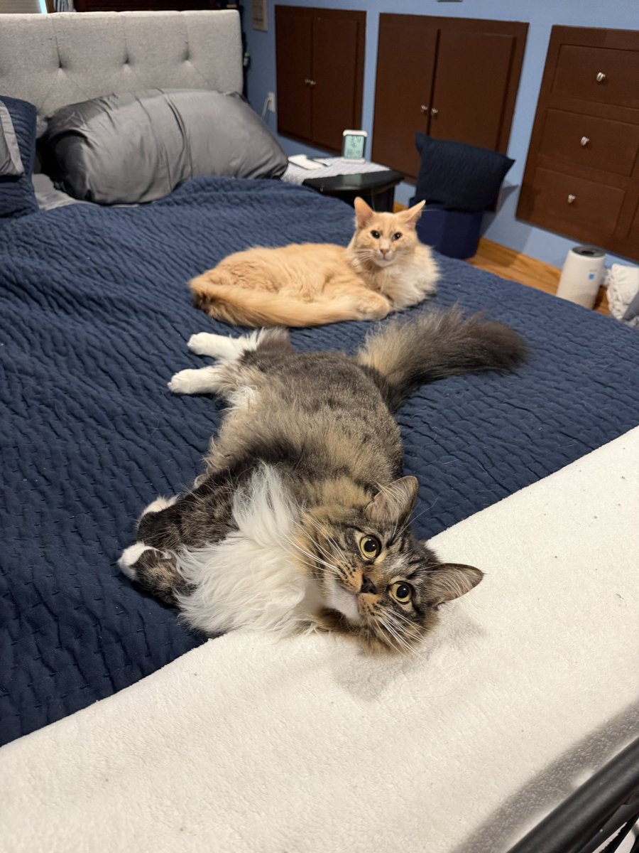 Freddie & Smokey tweet media