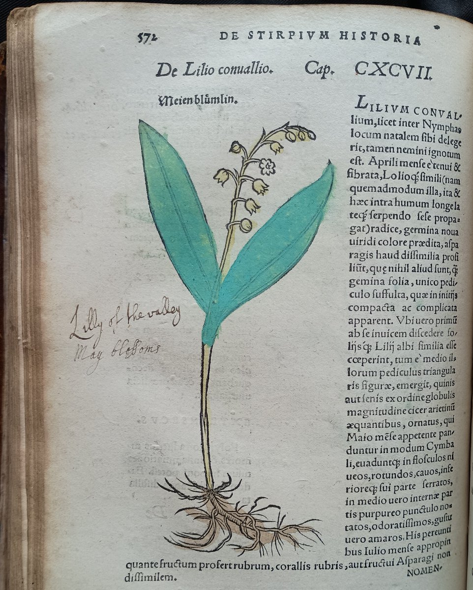 Marsh's Library tweet media