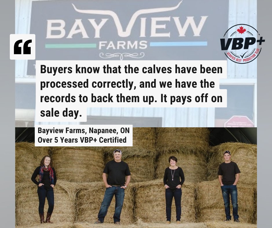 VBP+ Canada tweet media