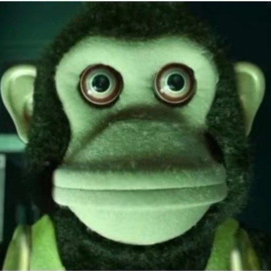 Monkey. tweet media