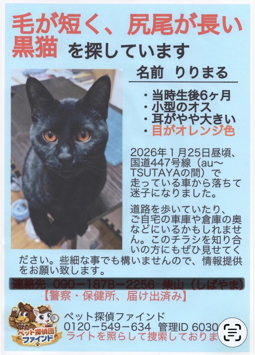 ririmaru_mama's tweet photo. #迷い猫 #黒猫 #鹿児島県出水市 いつもRPありがとうございます。りりまるは行方不明のまま、私は泣いてばかり。出水市にお住まいの方、どうかこの投稿をご覧になってください。間違いでも構いません。黒猫を見た方は連絡をお願い致します。 https://t.co/ATl3SNXbLO
