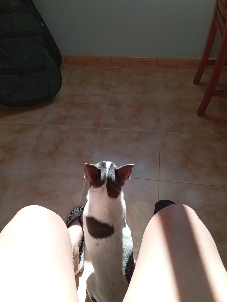 Davinia No Se Qué tweet media