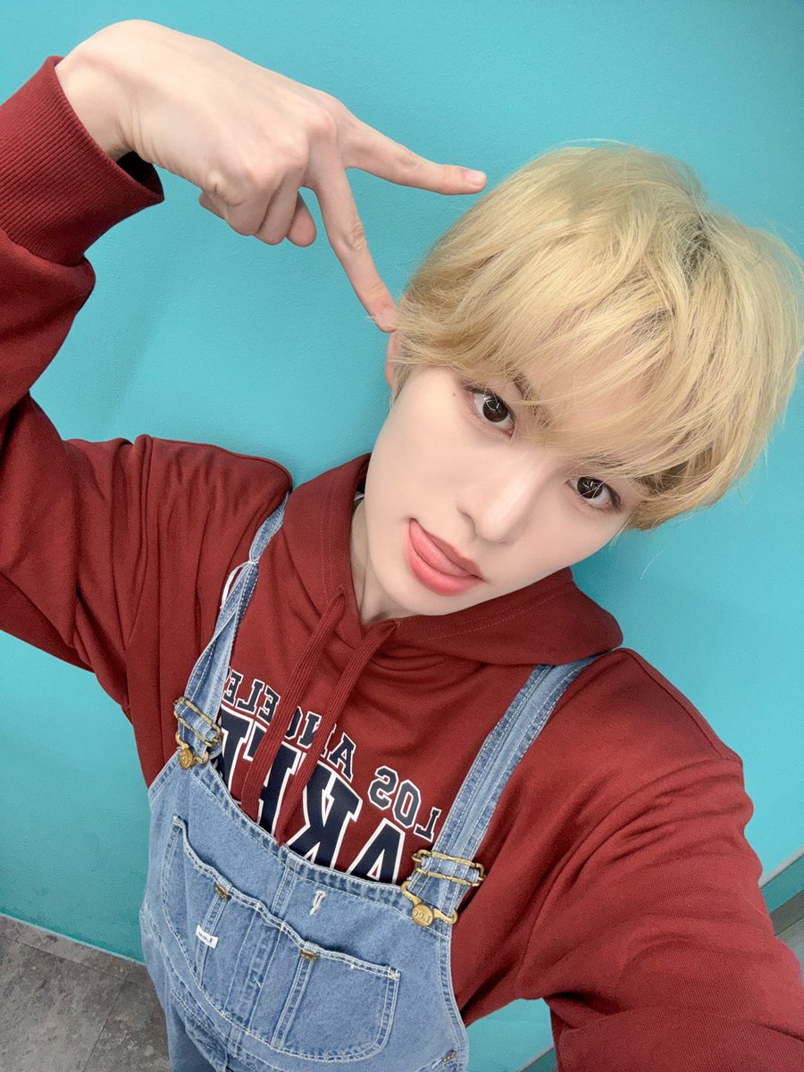 도오 tweet media