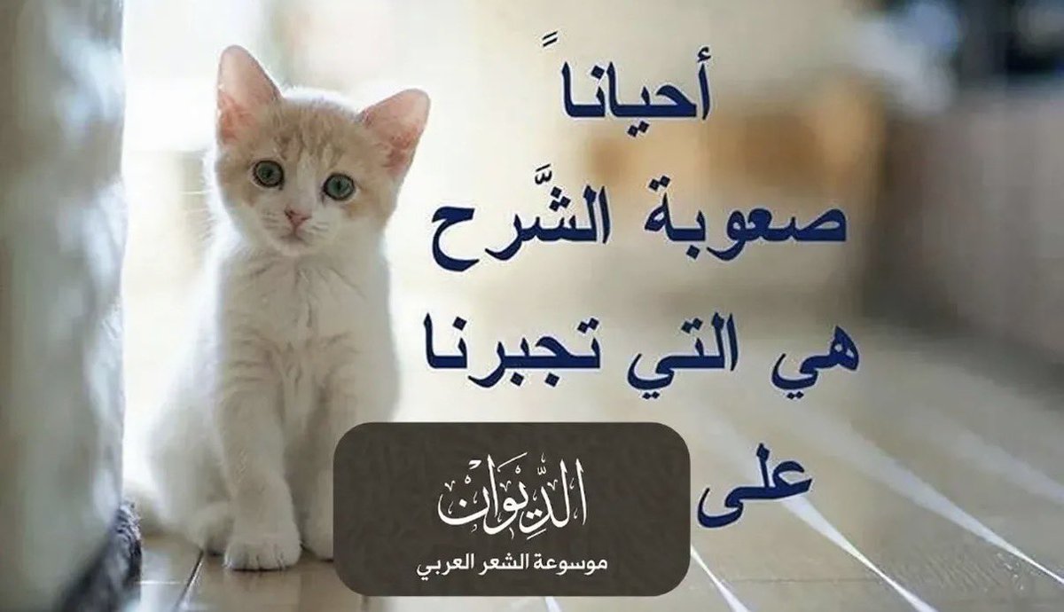 Rami tweet media