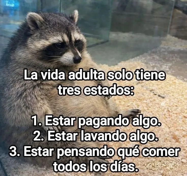 Más Ciencia (@msciencia2) on Twitter photo 