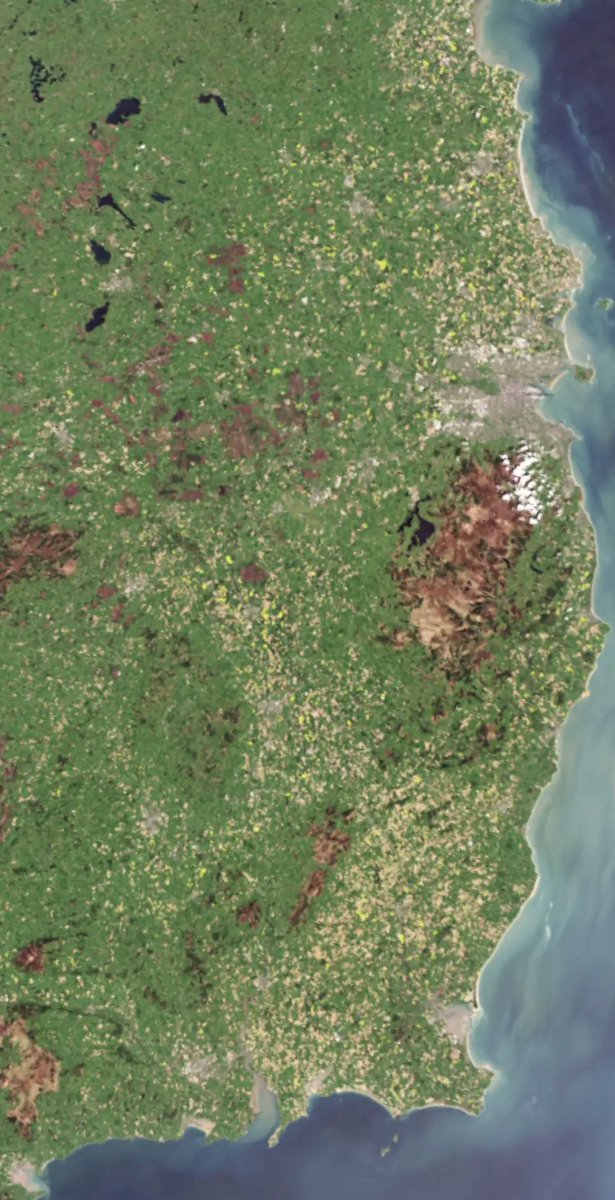 CarlowWeather's tweet image. Spot the yellow rapeseed fields on the earlier satellite image