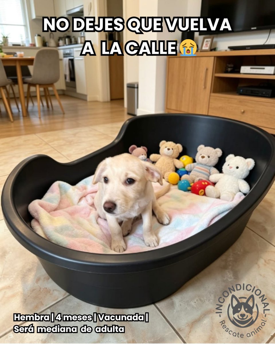 Incondicional 🐶💕🐱 tweet media