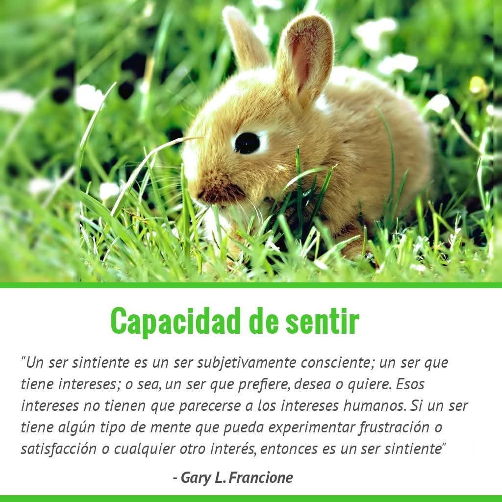Filosofía Vegana tweet media