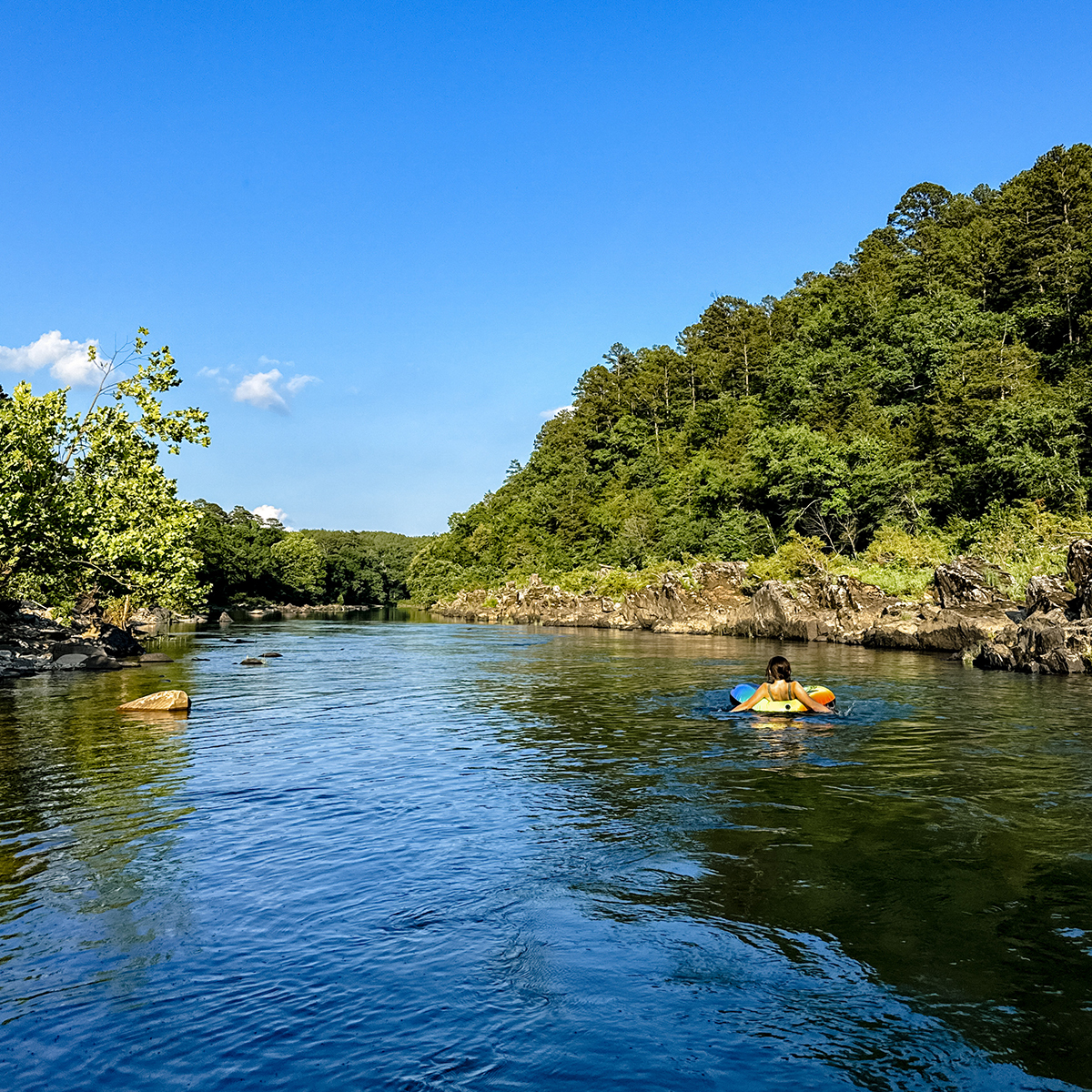 Arkansas State Parks tweet media