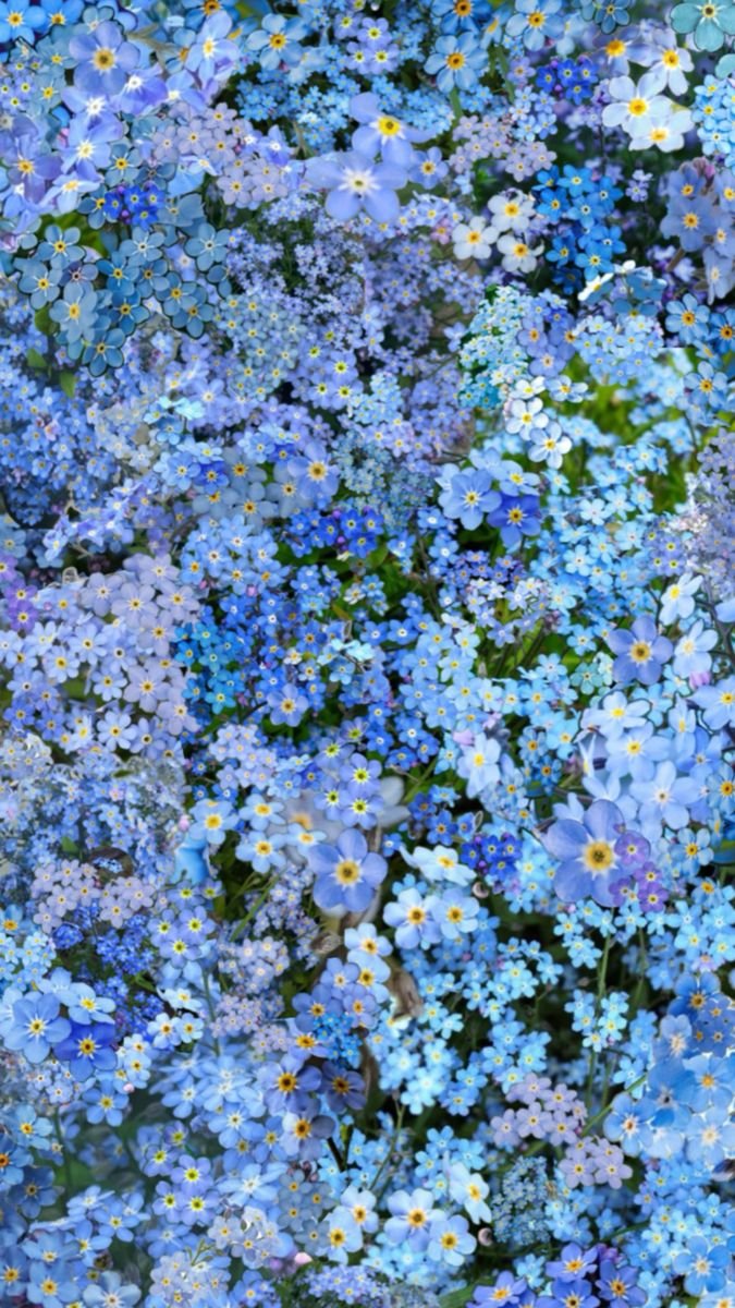 Flowers Life tweet media