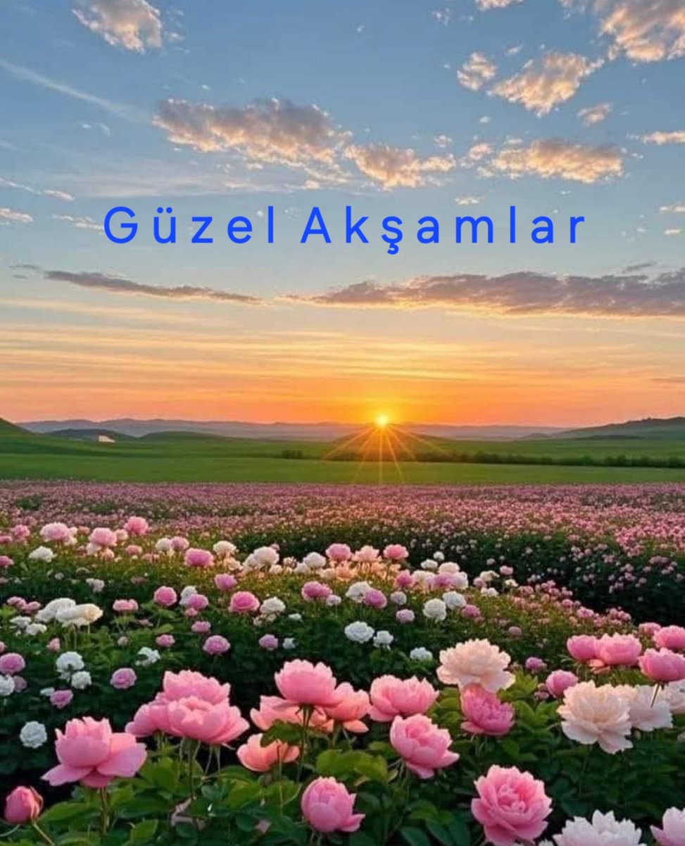 Aydın Sarıoglu tweet media