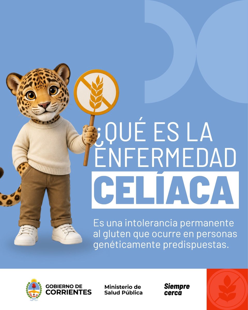 saludcorrientes's tweet photo. En el día de la Celiaquía, aprendamos más. https://t.co/QH4vuxKBbH