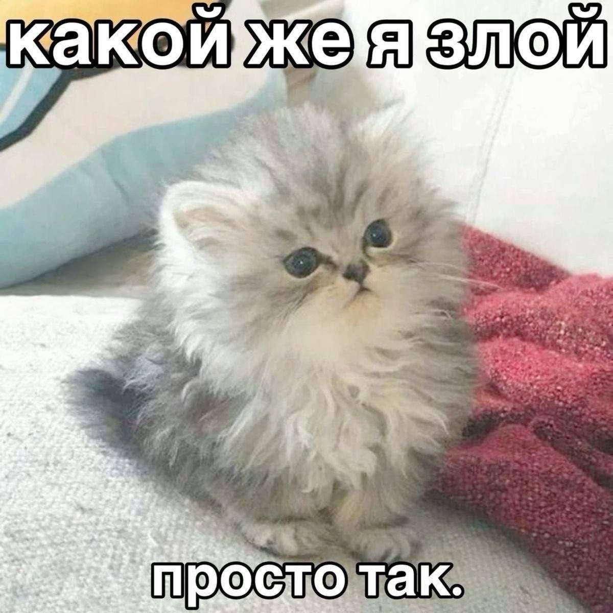 Ну я