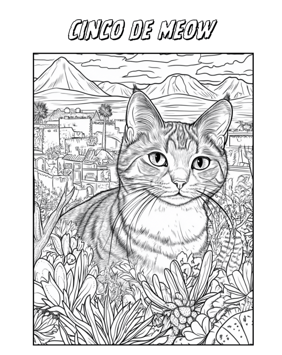 Cat Tipper.com tweet media
