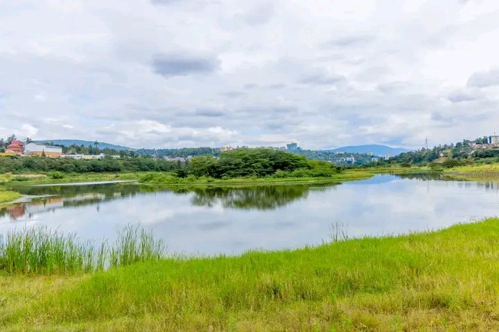 JeanClaude81199's tweet image. Kigali’s wetlands are rising again,
Restored, vibrant, and turning into stunning eco-tourism gems—where nature, biodiversity, and smart water systems meet.
Kigali is naturally beauty💚
#VisitRwanda🇷🇼 #EcoTourism 
#GreenRwanda 💚
#KigaliIsGreen 🌳🌲🌴💚
#KigaliWetlands 🌲