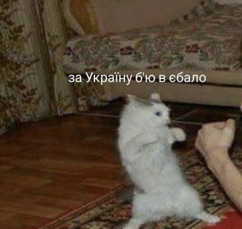 аперольга анатоліївна tweet media