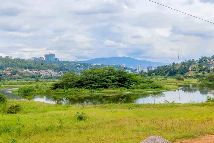 JeanClaude81199's tweet image. Kigali’s wetlands are rising again,
Restored, vibrant, and turning into stunning eco-tourism gems—where nature, biodiversity, and smart water systems meet.
Kigali is naturally beauty💚
#VisitRwanda🇷🇼 #EcoTourism 
#GreenRwanda 💚
#KigaliIsGreen 🌳🌲🌴💚
#KigaliWetlands 🌲