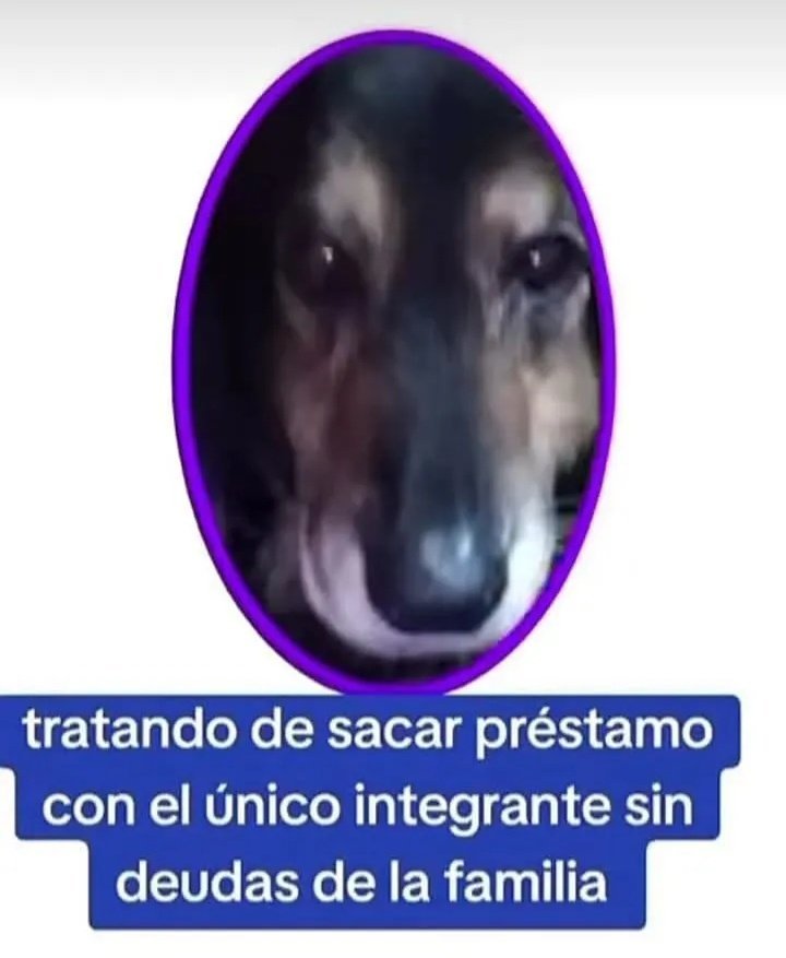 MexicoMagico's tweet photo. https://t.co/E2GUwqXoUV