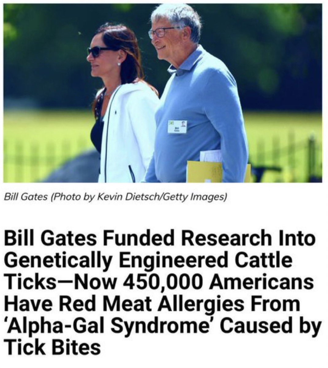 Veritiste's tweet photo. Bill Gates
Je le répète souvent dans mes messages : TESTOSTÉRONE, la guerre a été déclarée depuis fort longtemps. 

Moins de viandes = moins de testostérone.👇

« Bill Gates a financé des recherches sur les tiques génétiquement modifiées chez les bovins - ⚠️450 000 Américains souffrent maintenant d'allergies à la viande rouge ⚠️ dues au « syndrome alpha-gal » 👉causé par des piqûres de tiques » (Image).

Vidéo : Des boîtes remplies de tiques découvertes éparpillées près des zones de petits producteurs.