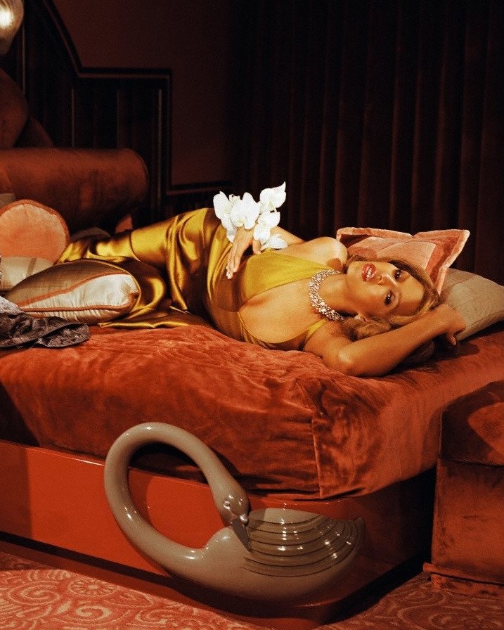 beyoncé hourly 𐚁ིྀ 🍬ৎ୭˚˖٠ tweet media