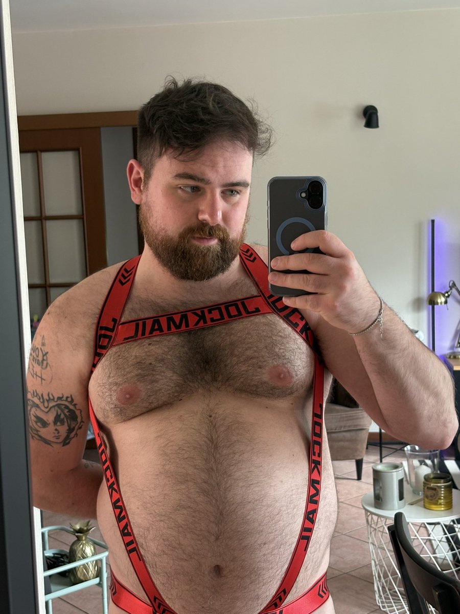 Joe 🐻 tweet media