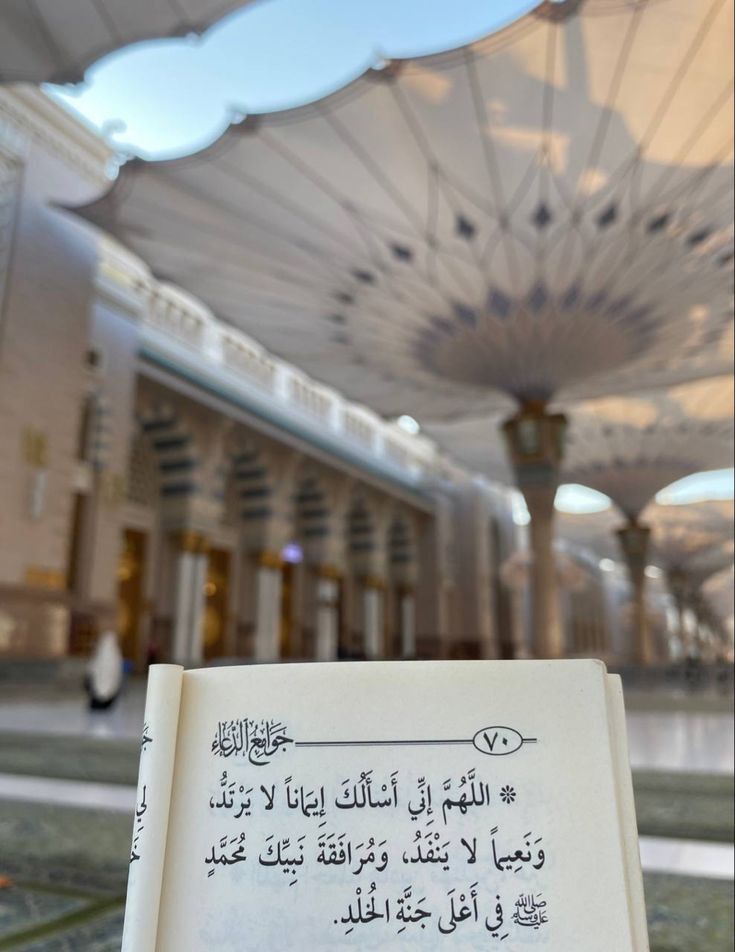 رُفَيدَة الشَّرَفي tweet media