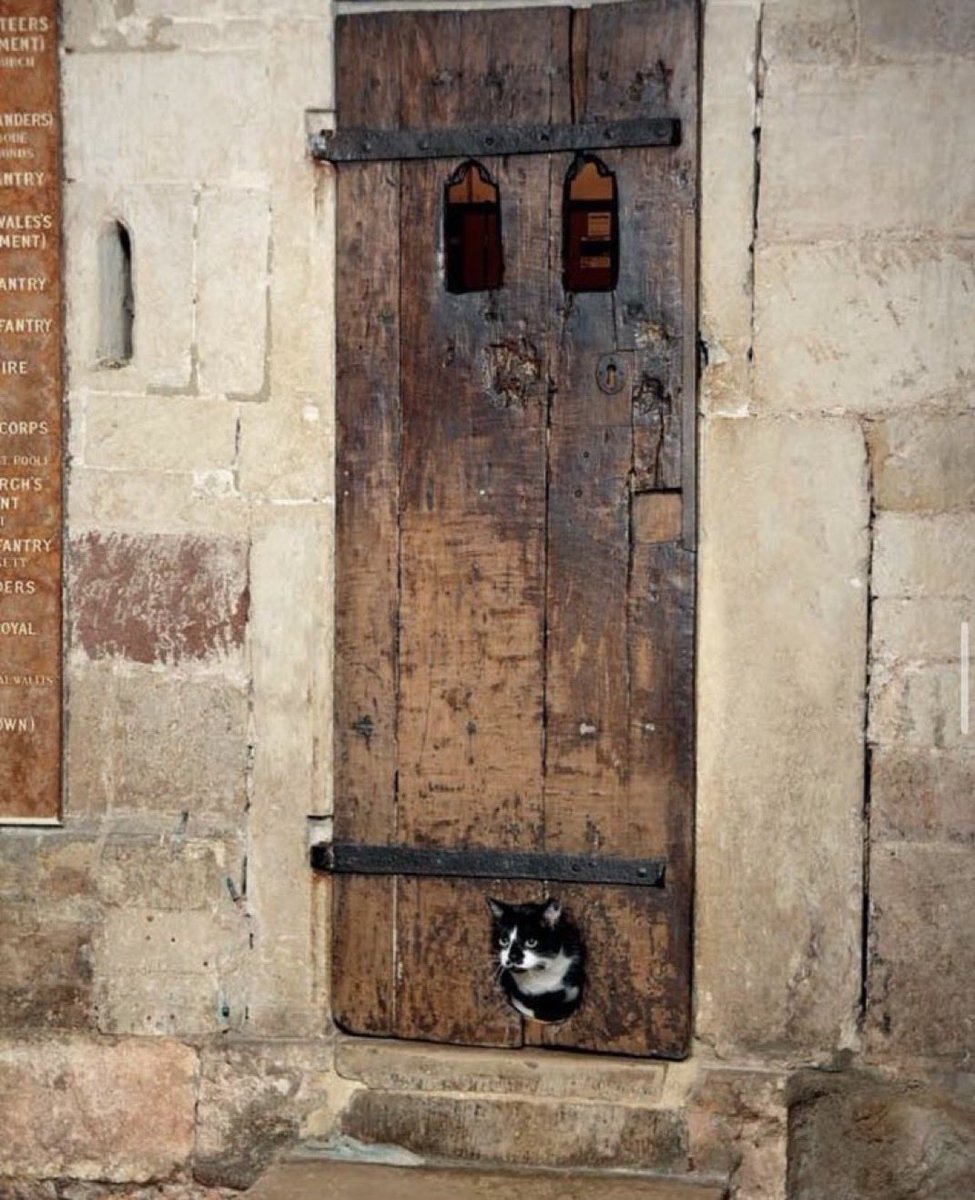 This door in Exeter Cathedral dates back to the 14th century and is thought to have the oldest cat flap in the UK and possibly even the world