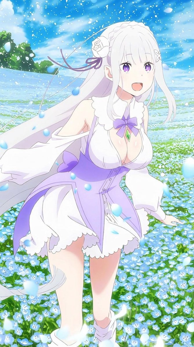 AnimeHubb1's tweet photo. Emilia from ReZero is the perfect women 🔥 #animegirls #waifu https://t.co/hAEbqH8ukh