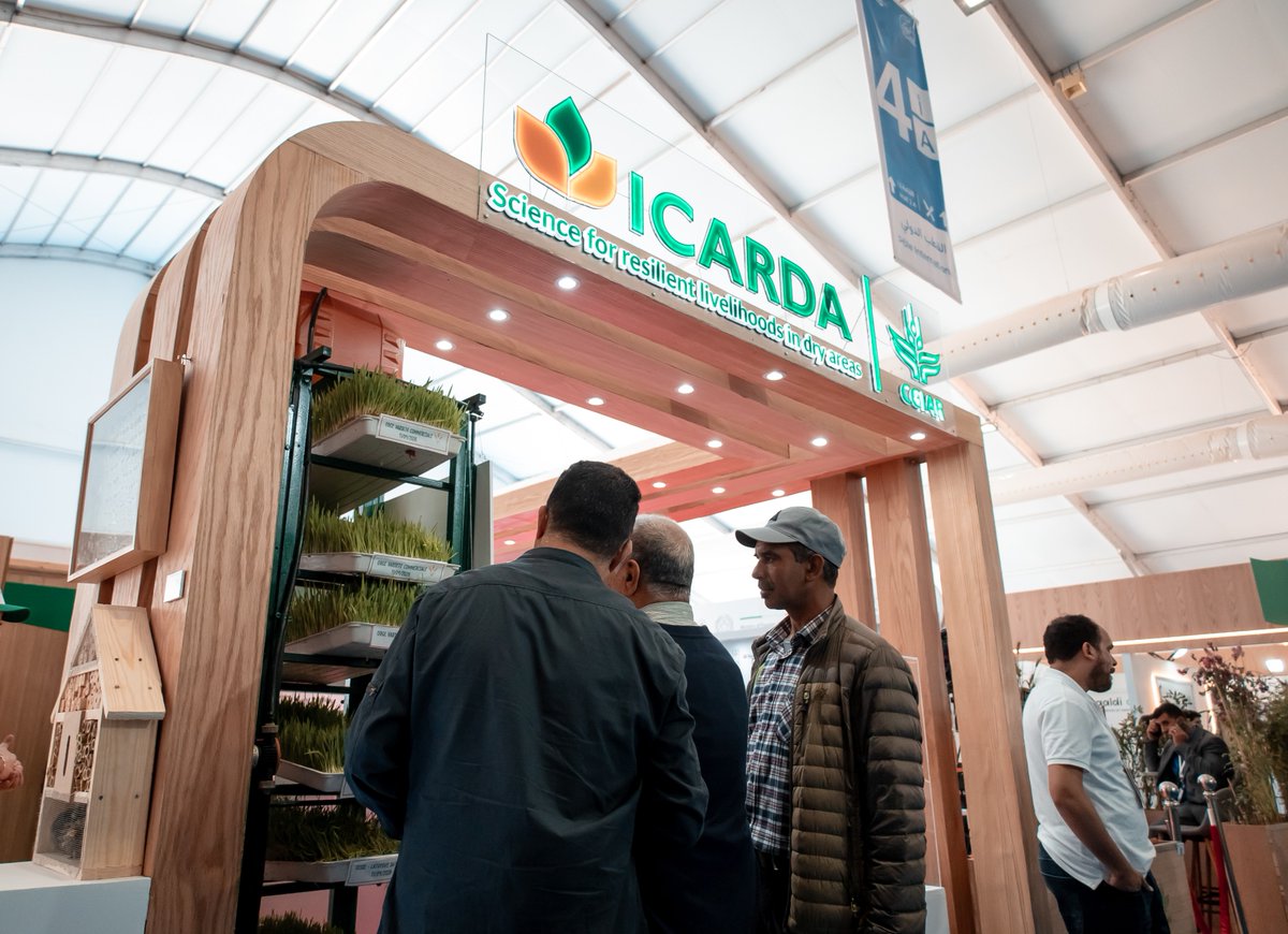 ICARDA tweet media