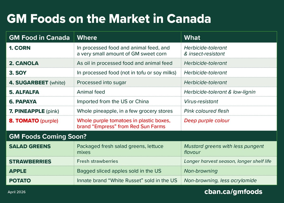 biotechaction's tweet photo. Which #GMOs foods are on the market in Canada? Its time for mandatory labelling of genetically modified foods for transparency and choice. https://t.co/wXSaebYJuZ #labelGMOs #ProtectOurProduce @InspectionCan @loblawco @LoblawsON @RealCdnSS @RealAtlanticSS @CPMA_ACDFL https://t.co/avxlbh2WWx